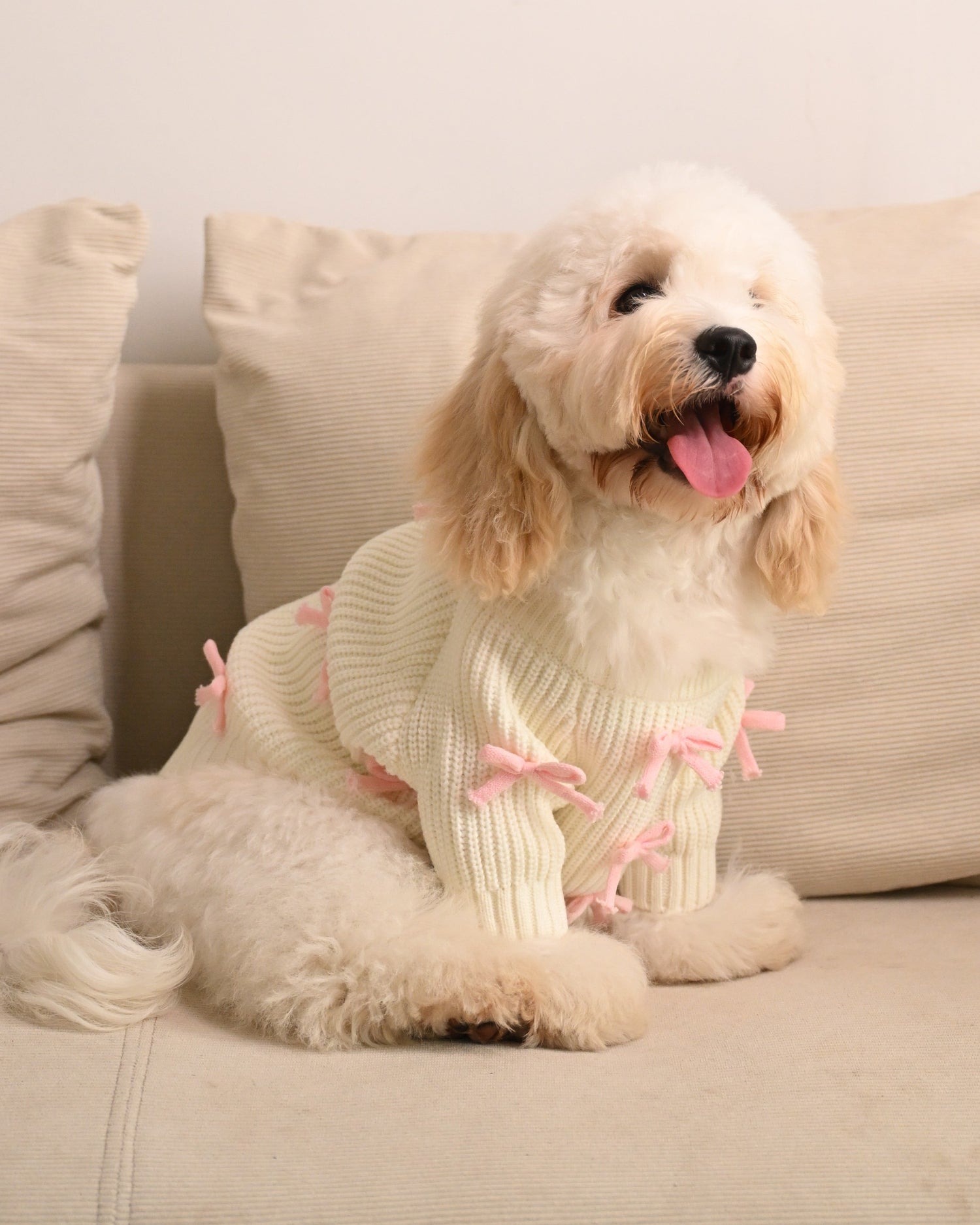 Why Every Dog Mom Needs a Matching Hoodie Set for Themselves and Their Pup