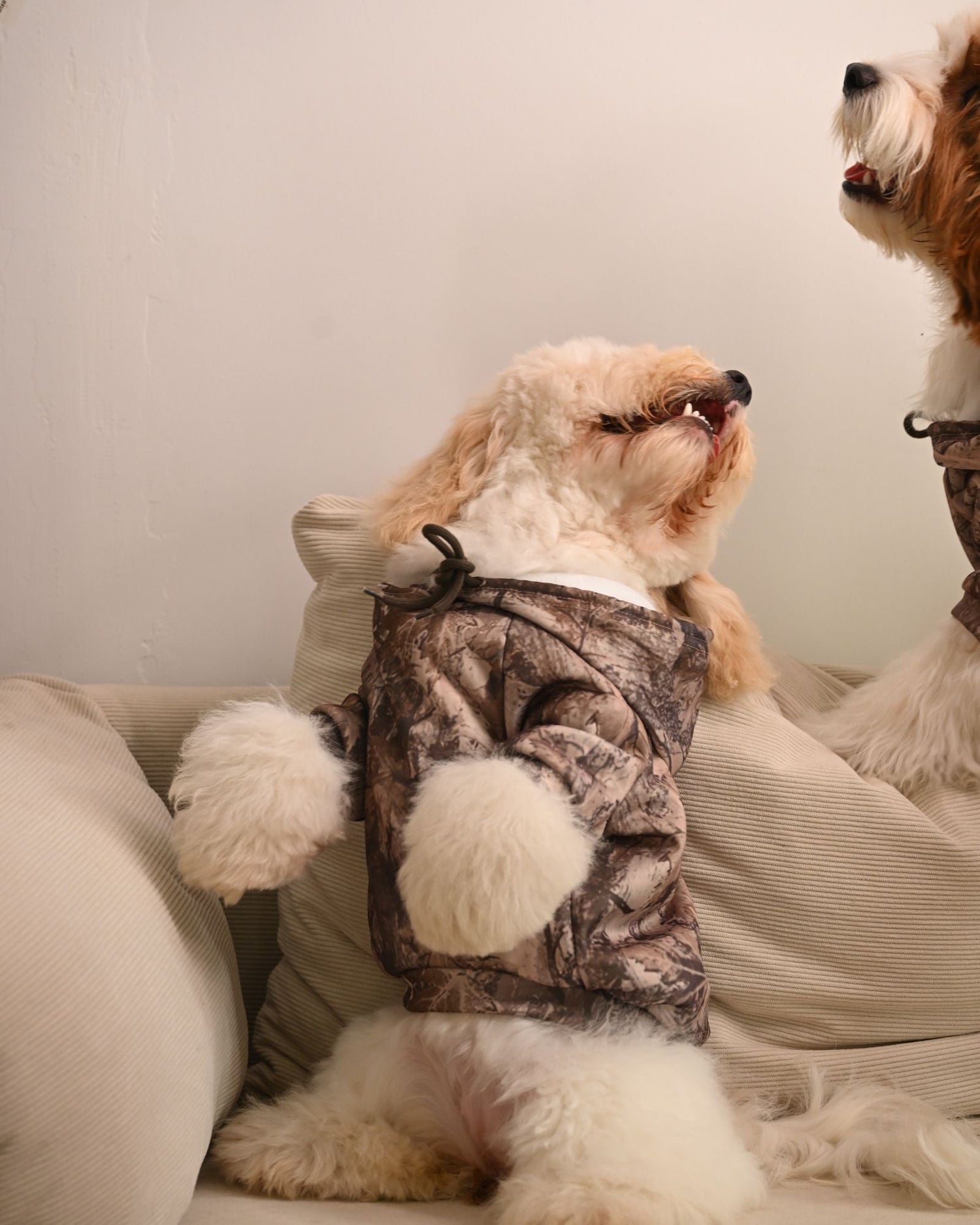 Pet Fashion 101: Why Matching Hoodies Make Your Pup Even Cuter