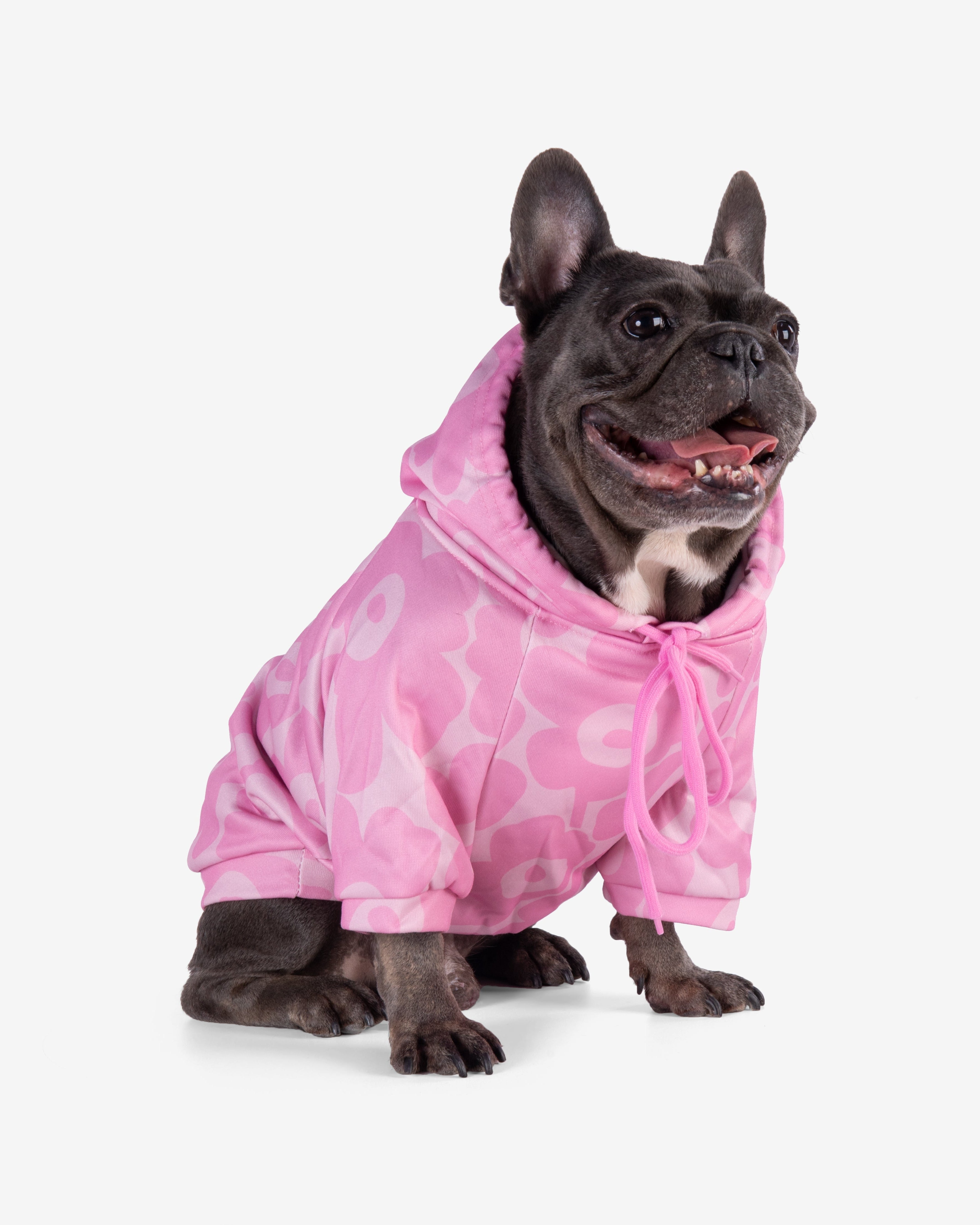 Dog Hoodie