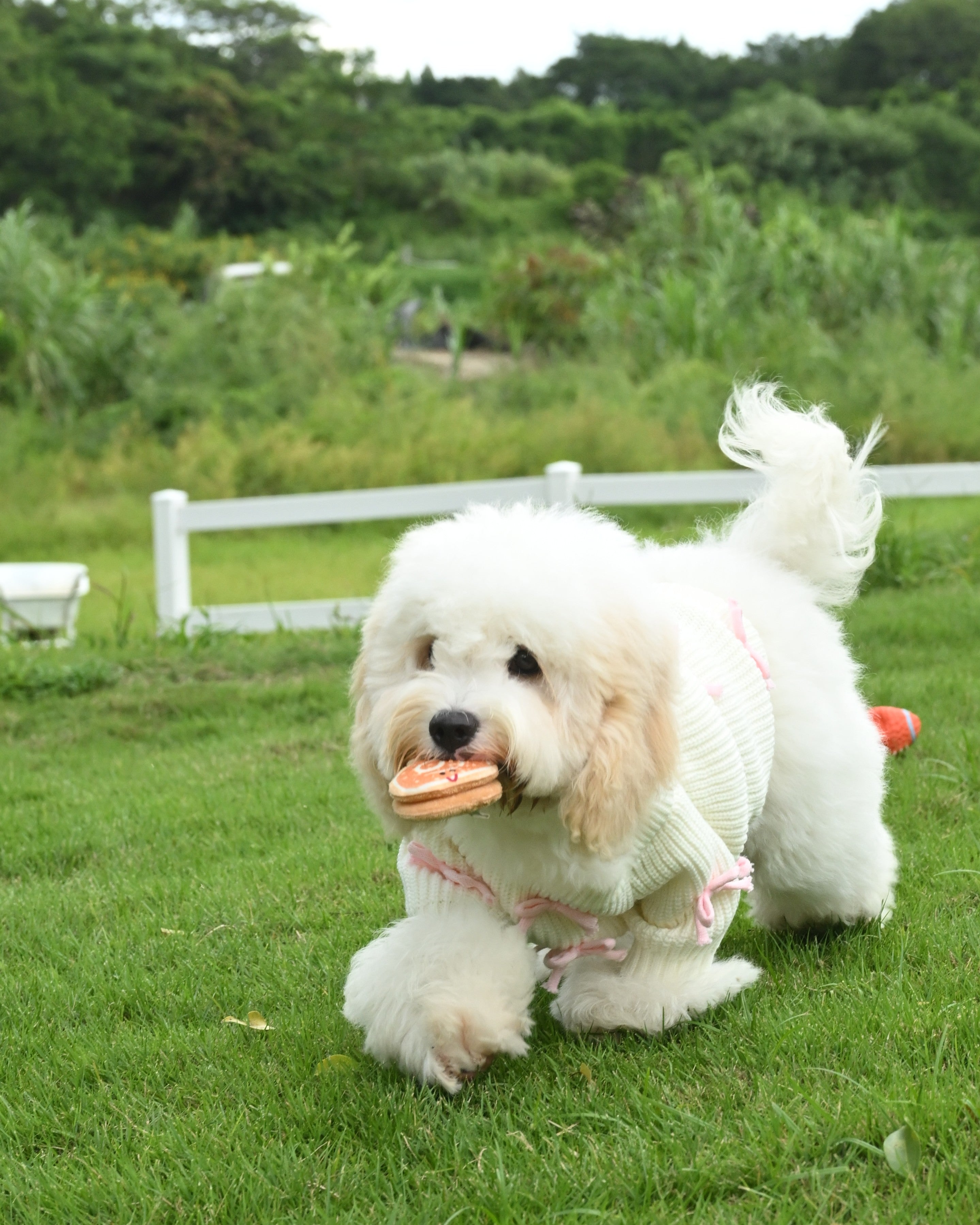 Pink Bow-3D Motif Pet Sweater