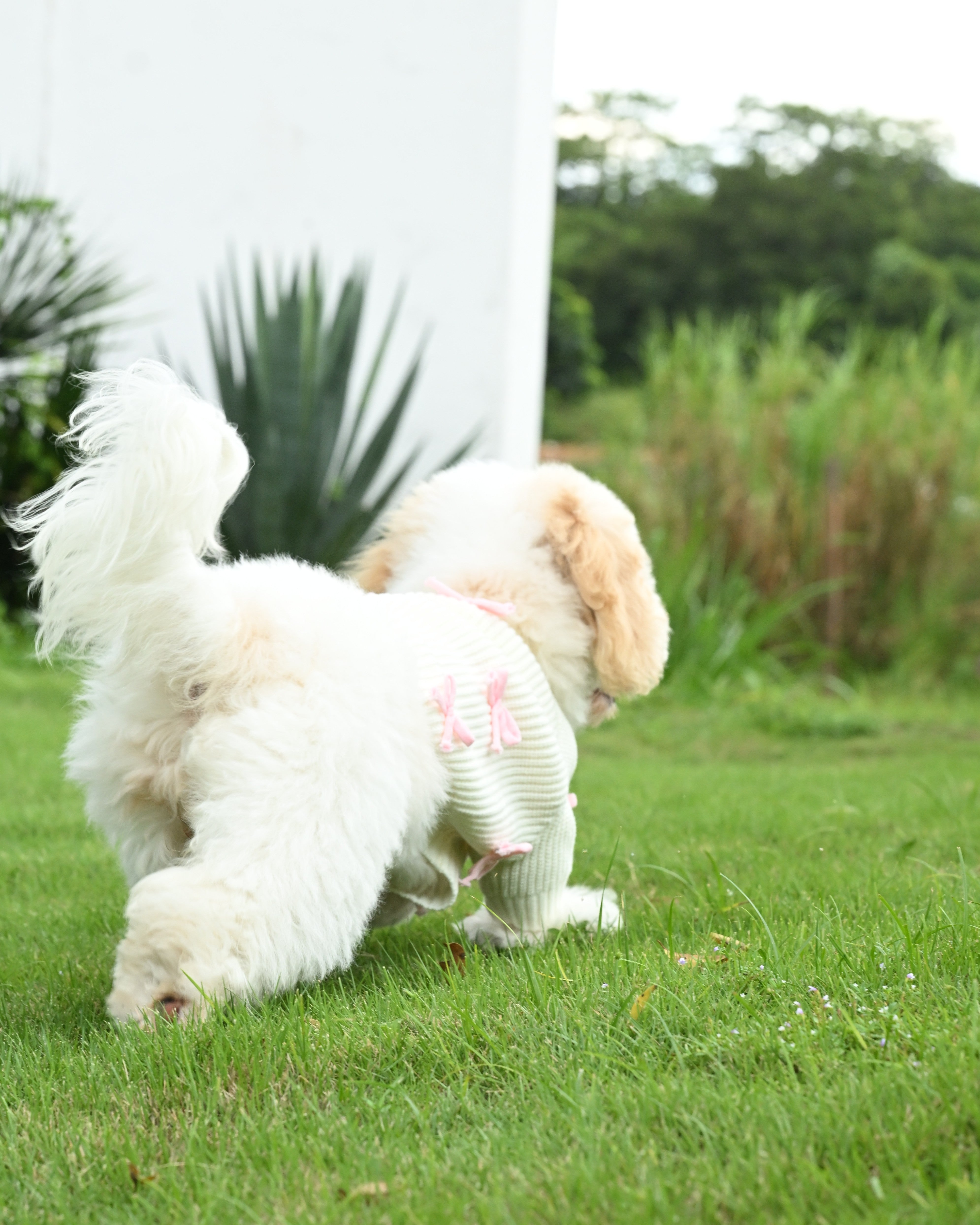 Pink Bow-3D Motif Pet Sweater