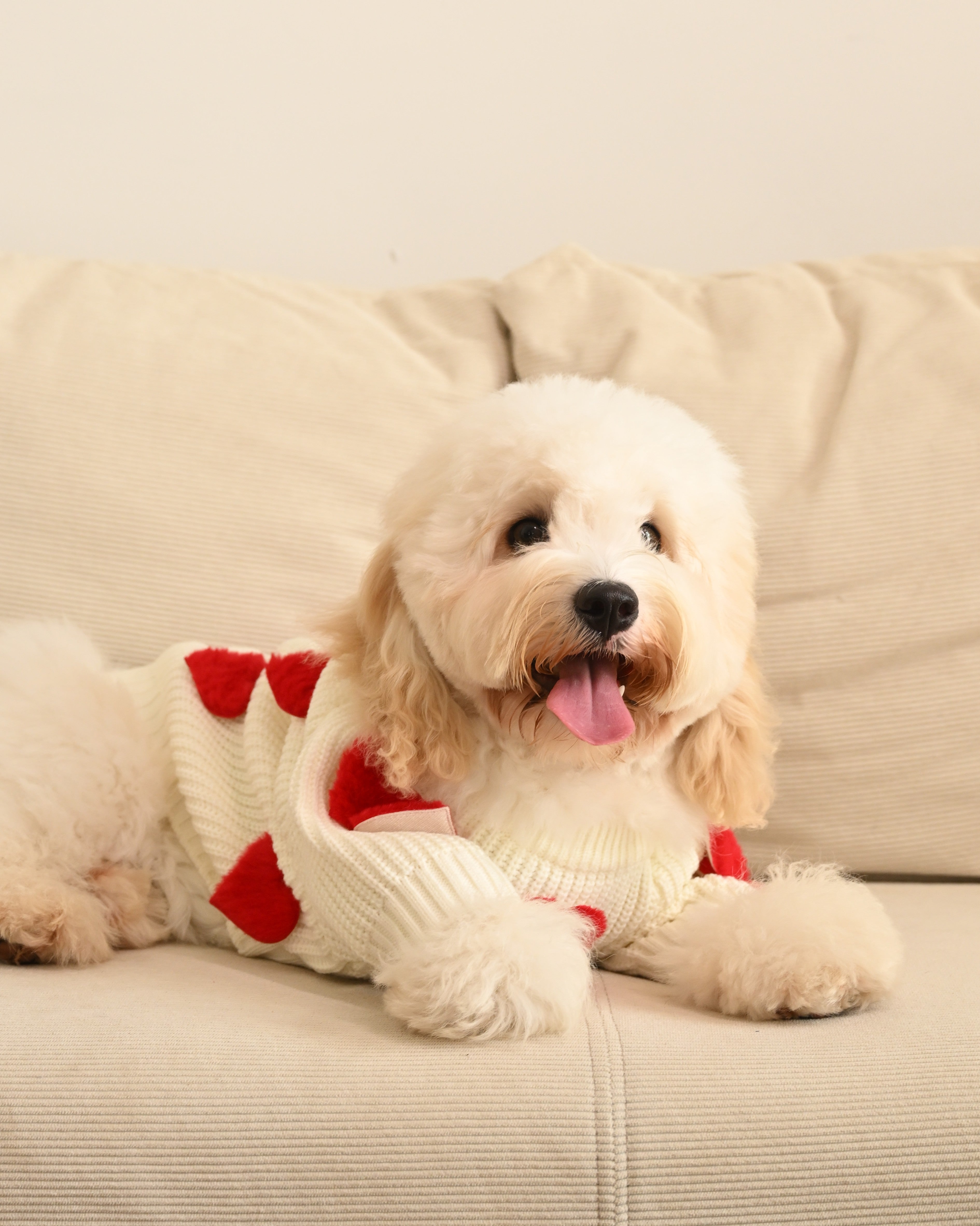 Cream Heart-3D Motif Pet Sweater