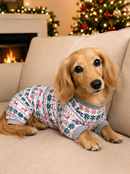 Frosted Snowflakes-Family Matching Christmas Pajamas