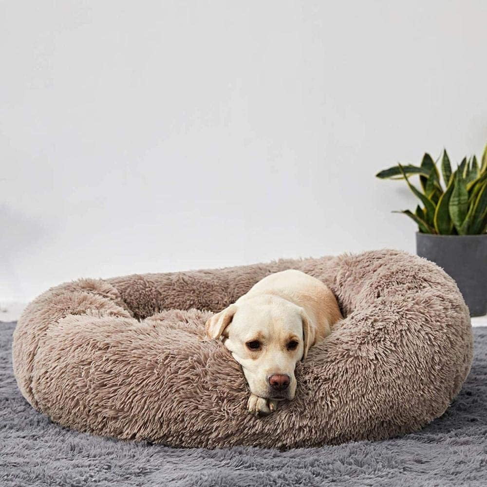 Calming Cloud Dog Bed